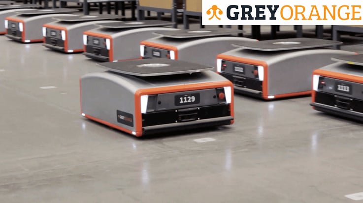 Grey Orange (1)